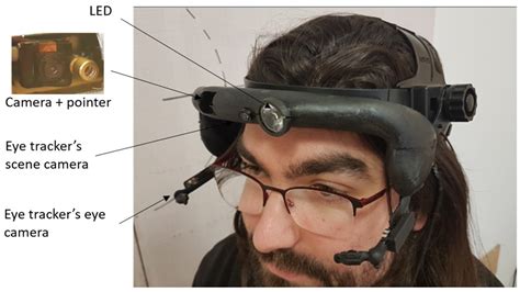 man head mounted.